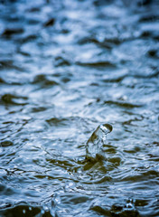 Regentropfen bei Regen in Teich. Hat die Form eines Gesichtes.