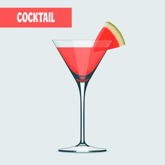 Martini cocktail glass with watermelon vector