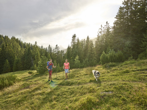 Austria, Tyrol, Mieming, couple with dog hiking in alpine scenery