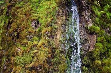 A small waterfall flows on the ground with moss