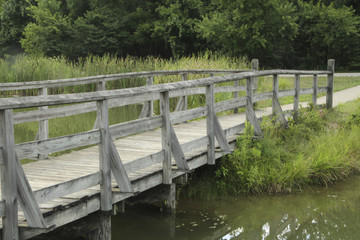Fototapeta na wymiar Wooden Bridge Over Water