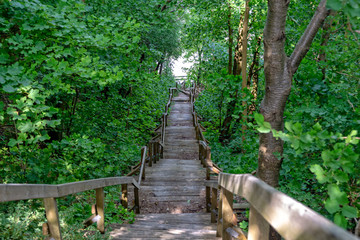 Fototapeta premium Drewniane schody na plażę w Cape Arkona
