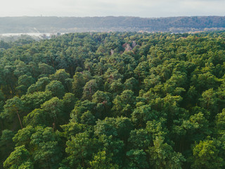 Birds eye view of forest in Lithuania