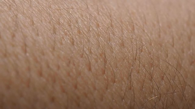 The skin of a man with hair. Close view of the growth of the hair. 