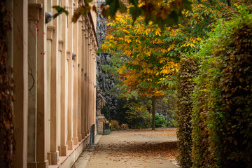 Autumn city park
