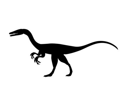 Coelophysis silhouette dinosaur jurassic prehistoric animal