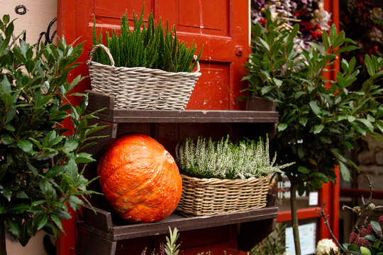 Autumn decoration with pumpkins and flowers at a flower shop on a street in a European city