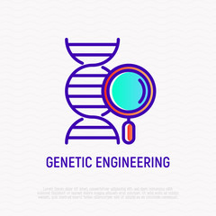 Genetic engineering thin line icon: DNA with magnifier. Modern vector illustration.