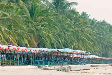 Beach wooden deck chair with coconut palm trees