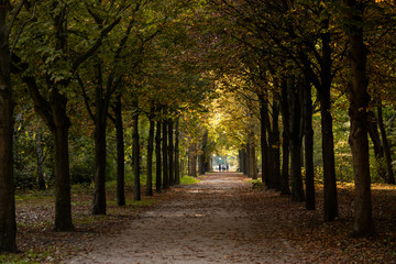 Autumn in the Tiergarten park in Berlin