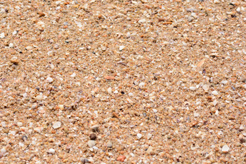 sand beach texture background