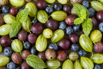 Background of fresh gooseberry and blueberry berries