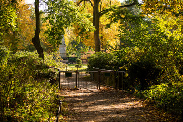Autumn in the Tiergarten park in Berlin