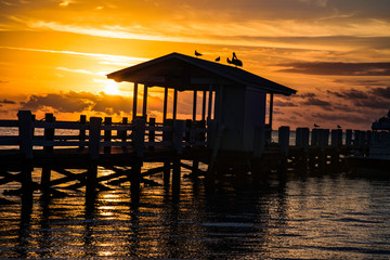 Beautiful Islamorada Florida Keys Sunrise Silhouette