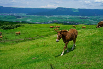 Mt.Aso