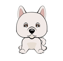 Vector illustration of cute dog in flat style shows sad emotion. Crying emoji. Smiley icon. Chat, communication, print, sticker. Isolated object on blue background. Unhappy. Eskimo Dog or Spitz.