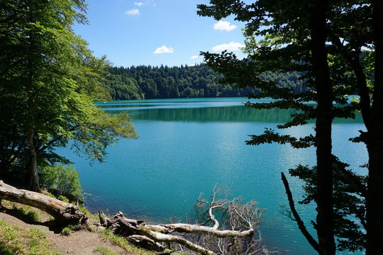 rive du Lac Pavin