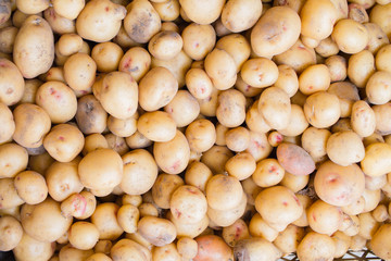 Ripe white plums in a clay bowl on a wooden table. Summer seasonal fruit concept