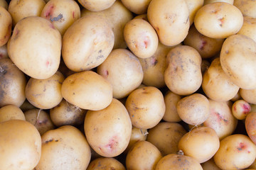 picking potatoes, small potatoes in the ground