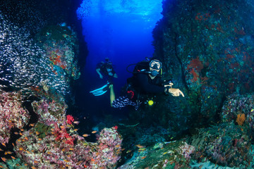 Naklejka na ściany i meble SCUBA diver swimming over a colorful, healthy tropical coral reef in the early morning