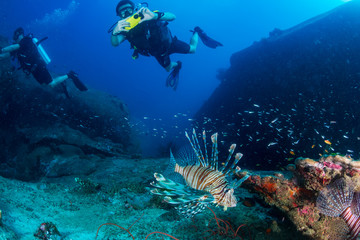 Fototapeta na wymiar SCUBA divers next to a beautiful Lionfish on a tropical coral reef