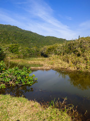 Pond and mountains at Brava Beach, north of Florianopolis island - Brazil