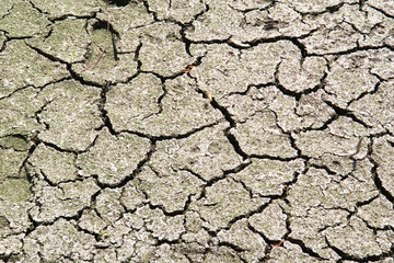 Dry cracked earth due to hot weather and drought