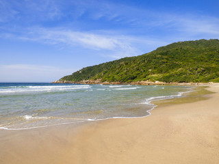 A view of Brava beach, located in the north of Florianopolis island - Brazil