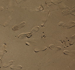 Fototapeta na wymiar impronte sulla sabbia