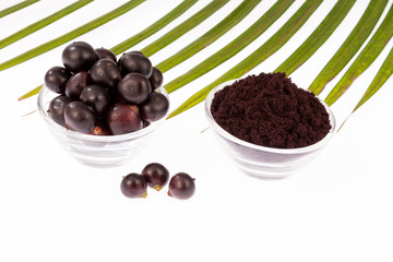 Fruit and acai powder - Euterpe oleracea