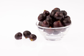 Acai amazonian fruit (Euterpe oleracea)