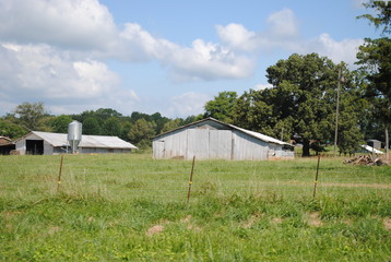 Fototapeta premium Country Ride 2