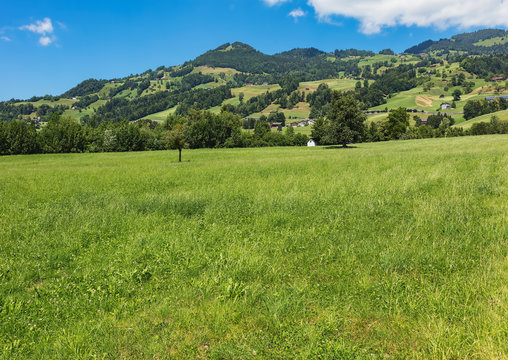 A summertime view from the village of Seewen in Switzerland