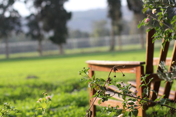 Naklejka premium Chill