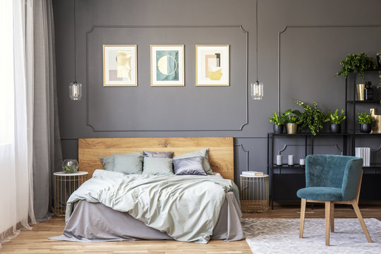 Double bed with grey bedding and wooden headboard standing in dark bedroom interior with window with drapes, gold posters on the wall with wainscoting and fresh plants placed on metal rack