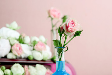 Flower arrangement with summer roses on a pink background