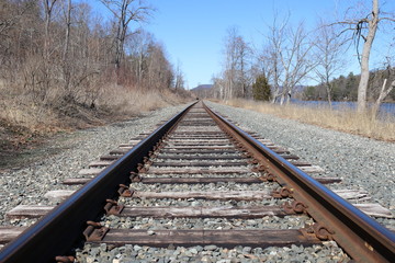 Fototapeta premium Railroad Tracks