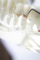 Fototapeta na wymiar Dentist cleaning teeth