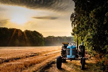Wall murals Tractor Old tractor in a field on a summer morning with the sun coming up