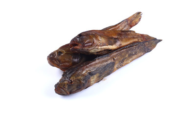 Three Marine Goby on a white background (isolated)