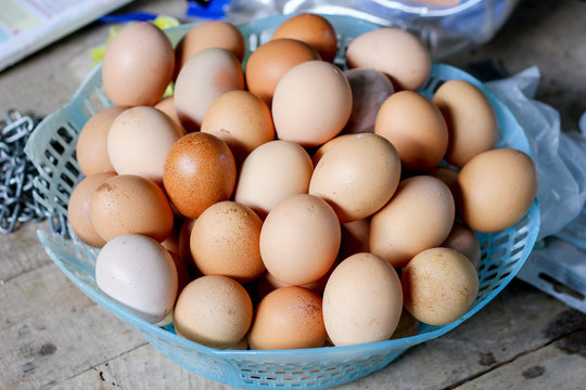 egg in basket