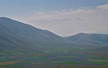 Colori nell'altopiano di Castelluccio