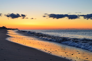 Fototapeta na wymiar Shells in the sand on the beach at sunset time