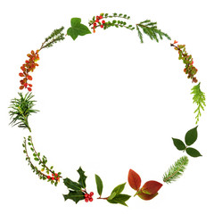 Winter and Christmas minimalist wreath garland with natural leaf sprigs, berries and plants on...