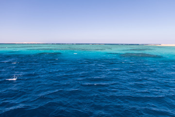 Turquoise Blue Water in Egyptian Red Sea Reefs