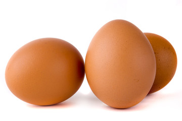 eggs on white background
