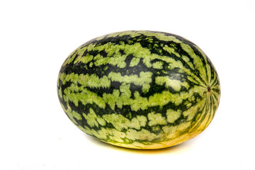 watermelon on white background