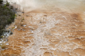 Mammoth Hot Springs