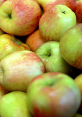 Apple Bin