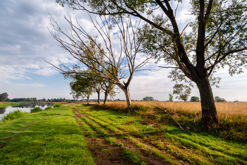 Lato nad Narwią © podlaski49